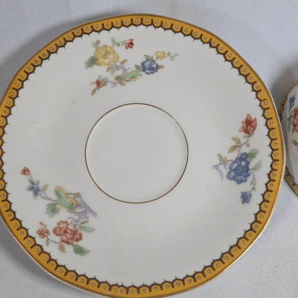 Theodore Haviland Limoges France Eden Bird of Paradise Teacup and Saucer Set